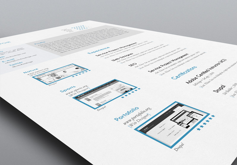 Free Resume Template for Adobe InDesign