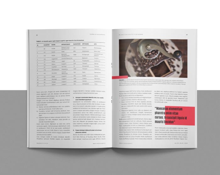 InDesign Template for Academic Journal