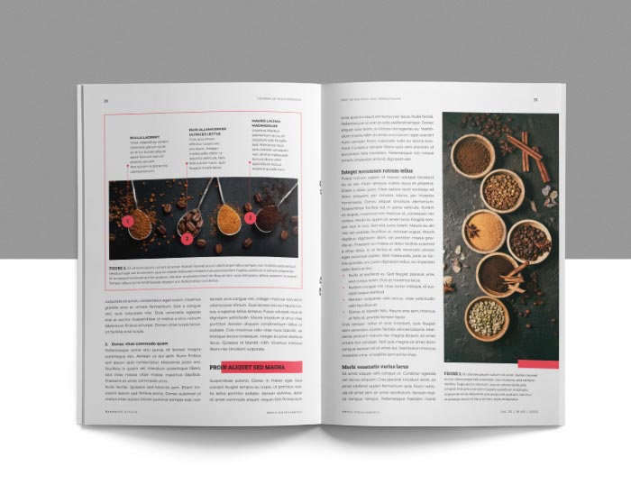 InDesign Template for Academic Journal