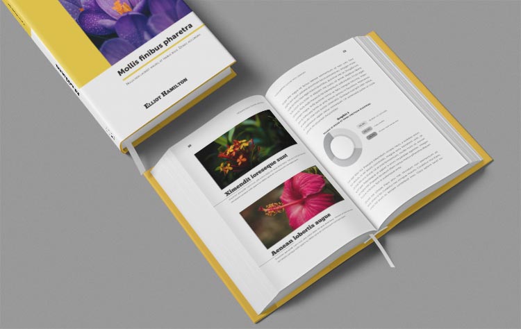 Coffee Table Book Template for InDesign - StockInDesign