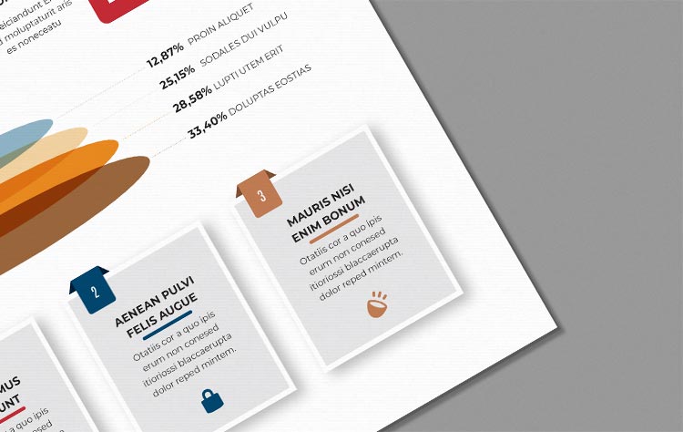 infographic templates for indesign