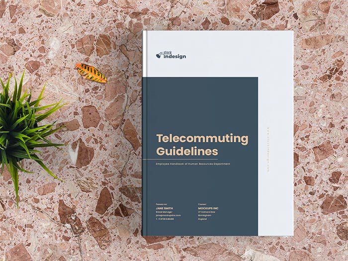 Telecommuting Guidelines Template for InDesign