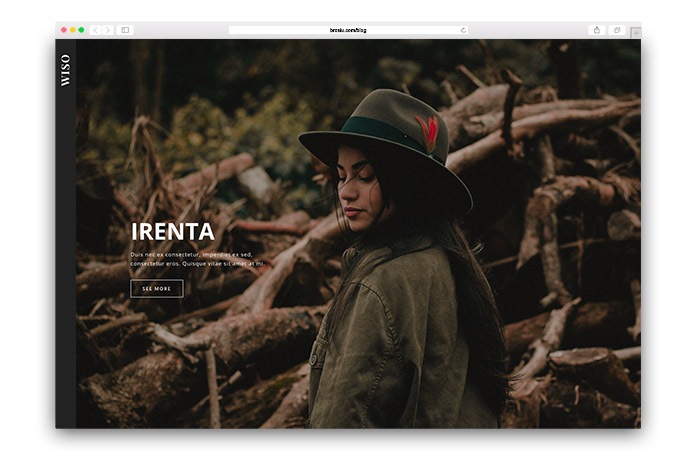 Wiso | Photography Template